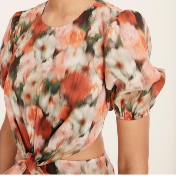 NWT J. Crew x Liberty Women’s 00 Hazy Day Floral Cut Out Liberty Fabric Dress - Picture 7 of 9